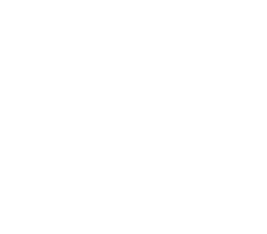 Affiliate Program
